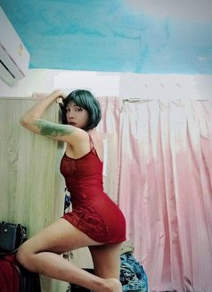 Alinecot - Transsexual escort in Phuket Photo 7 of 8
