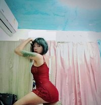 Alinecot - Acompañantes transexual in Phuket