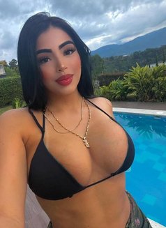 Alis Fullservice - escort in Muscat Photo 6 of 12