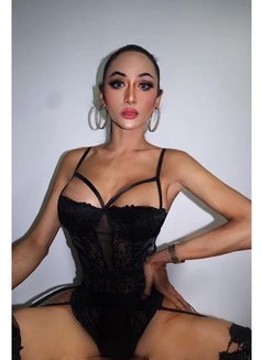 hard top first time in samui - Acompañantes transexual in Ko Samui Photo 7 of 13