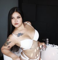 Alisa🇹🇭 | Chubby Girls🤍 - puta in Phuket