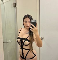 Alisa🇹🇭 | Chubby Girls🤍 - puta in Phuket Photo 1 of 14