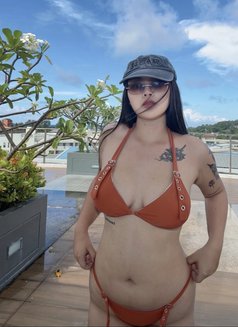 Alisa🇹🇭 | Chubby Girls🤍 - escort in Phuket Photo 11 of 12