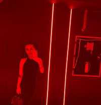 Alisa - escort in İstanbul