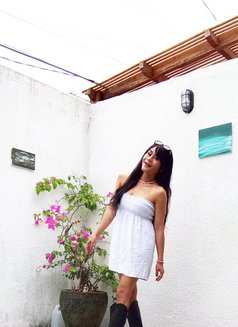 Alisa - Transsexual escort in Bali Photo 8 of 12