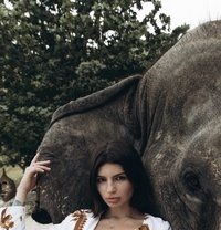Alisa New in City - escort in Ajmān