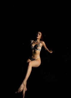 Alisa - puta in Dubai Photo 7 of 7