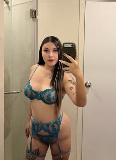 Alisa🇹🇭 | Chubby Girls🤍 - escort in Phuket Photo 2 of 13