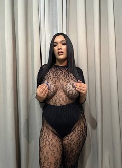 Alisha Fox - Transsexual escort in Makati City Photo 5 of 10