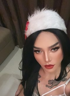 Alissa Asian Babezz - Transsexual escort in Singapore Photo 2 of 6