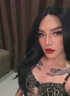 Alissa Asian Babezz - Transsexual escort in Singapore Photo 4 of 4