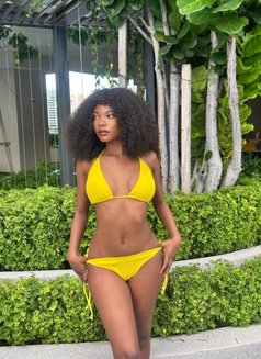 Alissa - escort in Kuala Lumpur Photo 3 of 4