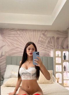 AlixiaFoxCumAlot - Transsexual escort in Manila Photo 15 of 15
