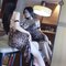 Alizabet - escort in Bangkok Photo 4 of 10