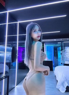 All. Aoi - escort in Bangkok Photo 4 of 8