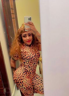 ALL SERVICES (18+) - escort in Hyderabad Photo 1 of 2