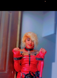 Misstress MIMI(18+) - escort in Hyderabad Photo 7 of 7