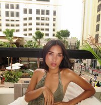 Alleymoral 69 - Transsexual escort in Bangkok