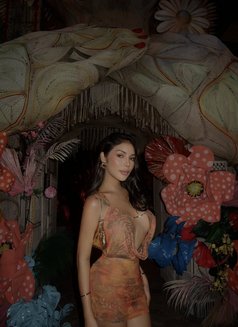 allira 🇪🇸 - escort in Taipei Photo 12 of 14