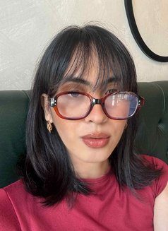 Allison - Transsexual escort in Manila Photo 1 of 1