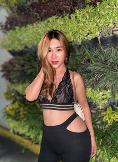 Allisonxxxcat - Transsexual escort in Cebu City Photo 15 of 18