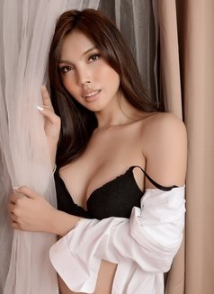Alluring Claire Available in Manila - Transsexual escort in Manila Photo 7 of 30