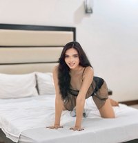 Alluring Ehra - Transsexual escort in Manila