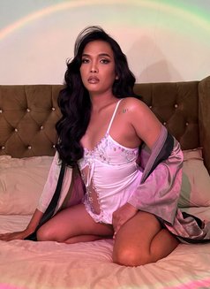 Alluring Ehra - Acompañantes transexual in Manila Photo 5 of 8