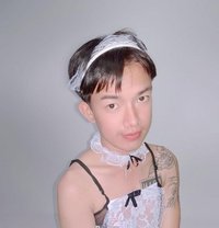 Ally new ladyboy - Transsexual escort in Al Sohar