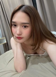 Ally L - Acompañantes transexual in Bangkok Photo 1 of 8