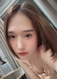 Ally's - Transsexual escort in Bangkok Photo 4 of 4
