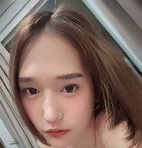 Ally - Acompañantes transexual in Bangkok