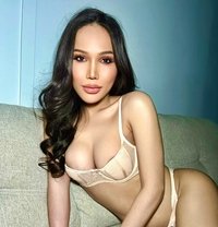 Ally - Transsexual escort in Shanghai