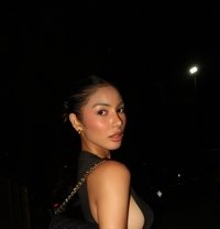 ally (Camshow) - escort in Bangkok