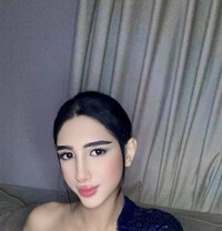 Almasee - Transsexual escort in Jeddah