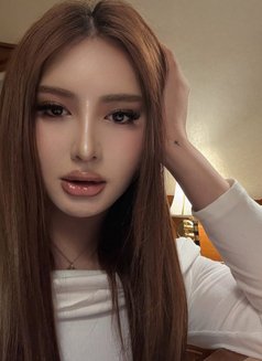 Almira big cock 🇵🇭/🇪🇸 - Transsexual escort in Phuket Photo 12 of 14