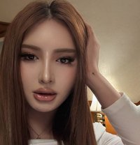 Almira . - Transsexual escort in Singapore