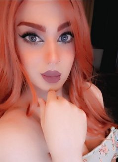 المهرة Ksa - Acompañantes transexual in Amman Photo 7 of 8