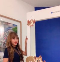 Alona Ts Ladyboy - Acompañantes transexual in Jakarta