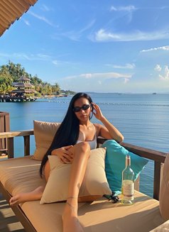 Alondra - Transsexual escort in Davao Photo 11 of 14