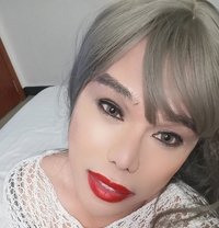 Alondra Just Arrived - Transsexual escort in Kuala Lumpur