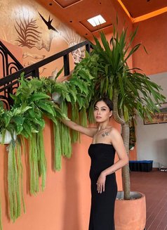 ALOURA SEDUCTIVE GIRL - escort in Bali Photo 5 of 5