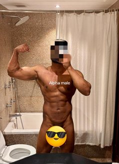 Alpha Male is back *ELITE ESCORT* - Male escort in New Delhi Photo 8 of 8