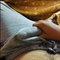 Alpha Male With 7. 5 Inch Big Tool - Male escort in Bangalore Photo 1 of 6