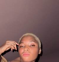 Alshh - escort in Abuja