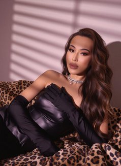 Alsou from Kazakhstan 🇰🇿 - Transsexual escort in Jeddah Photo 13 of 13