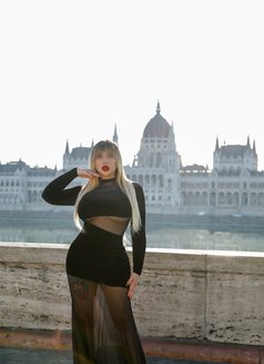Alteza Morgan - escort in Ljubljana Photo 5 of 12