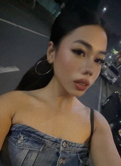 Schantelle MEET/CAMSHOW (CUM A LOT) - Transsexual escort in Manila Photo 8 of 9