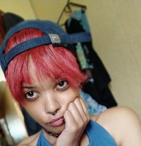 ALX - companion in Cape Town