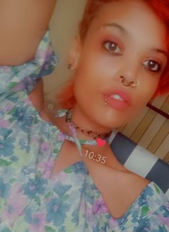 ALX - companion in Cape Town Photo 6 of 8